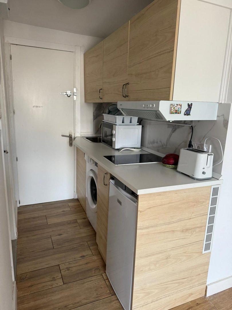 A compact kitchen with wood cabinets, sink, induction hob, microwave, toaster, washing machine, and mini fridge.