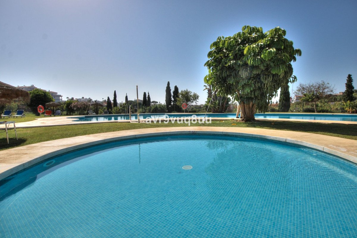 04 photo