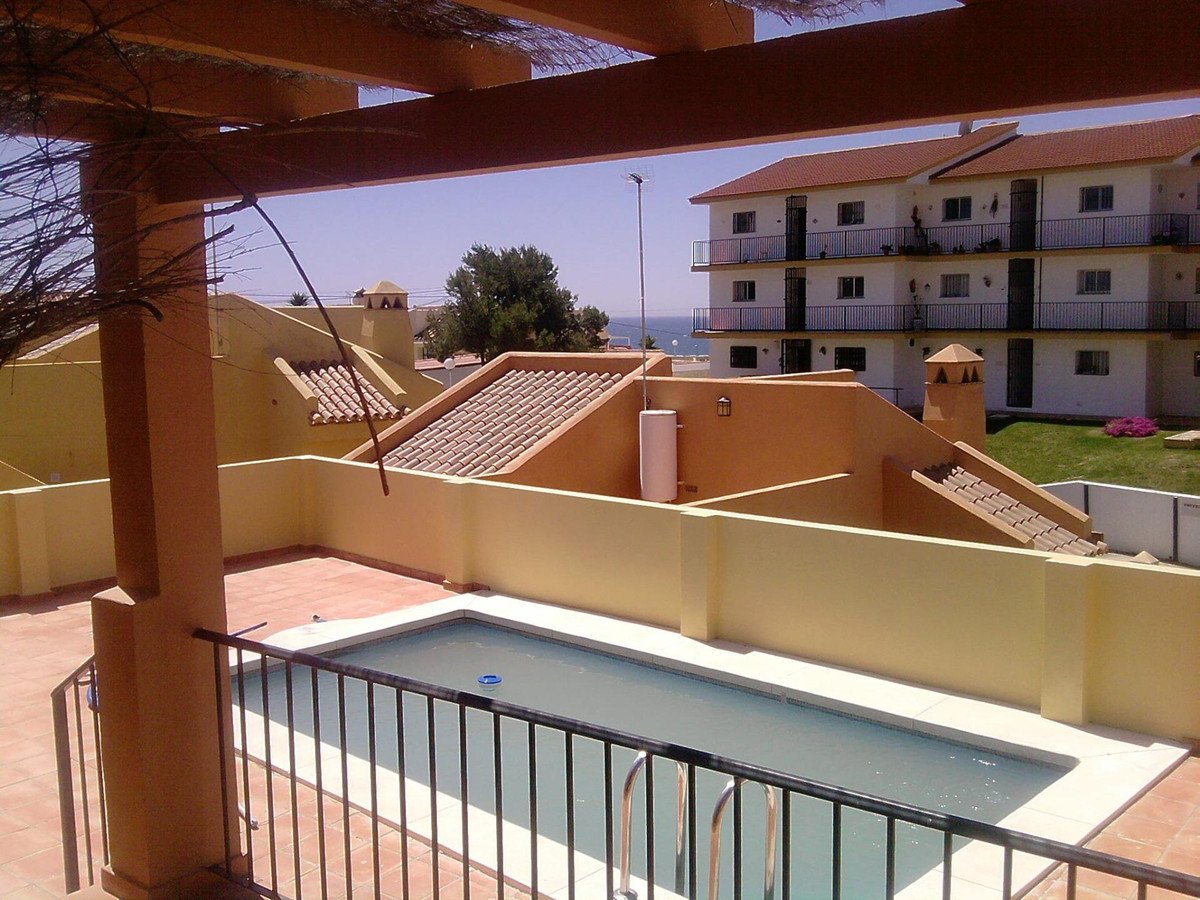 41 photo