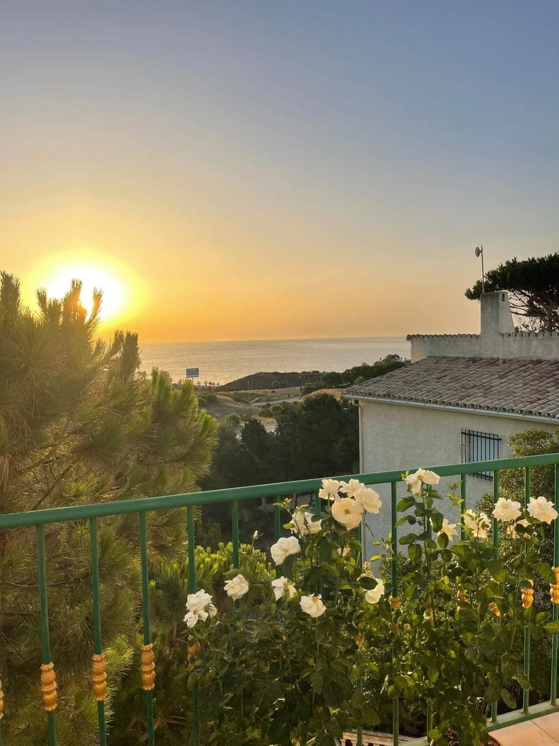 A scenic view from a balcony at sunset, overlooking the sea with white roses in the foreground.