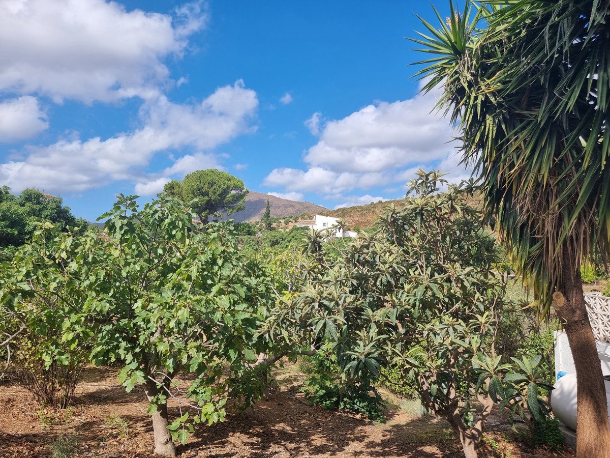 2 Bed Finca - Cortijo in Entrerrios in Entrerrios, Finca - Cortijo