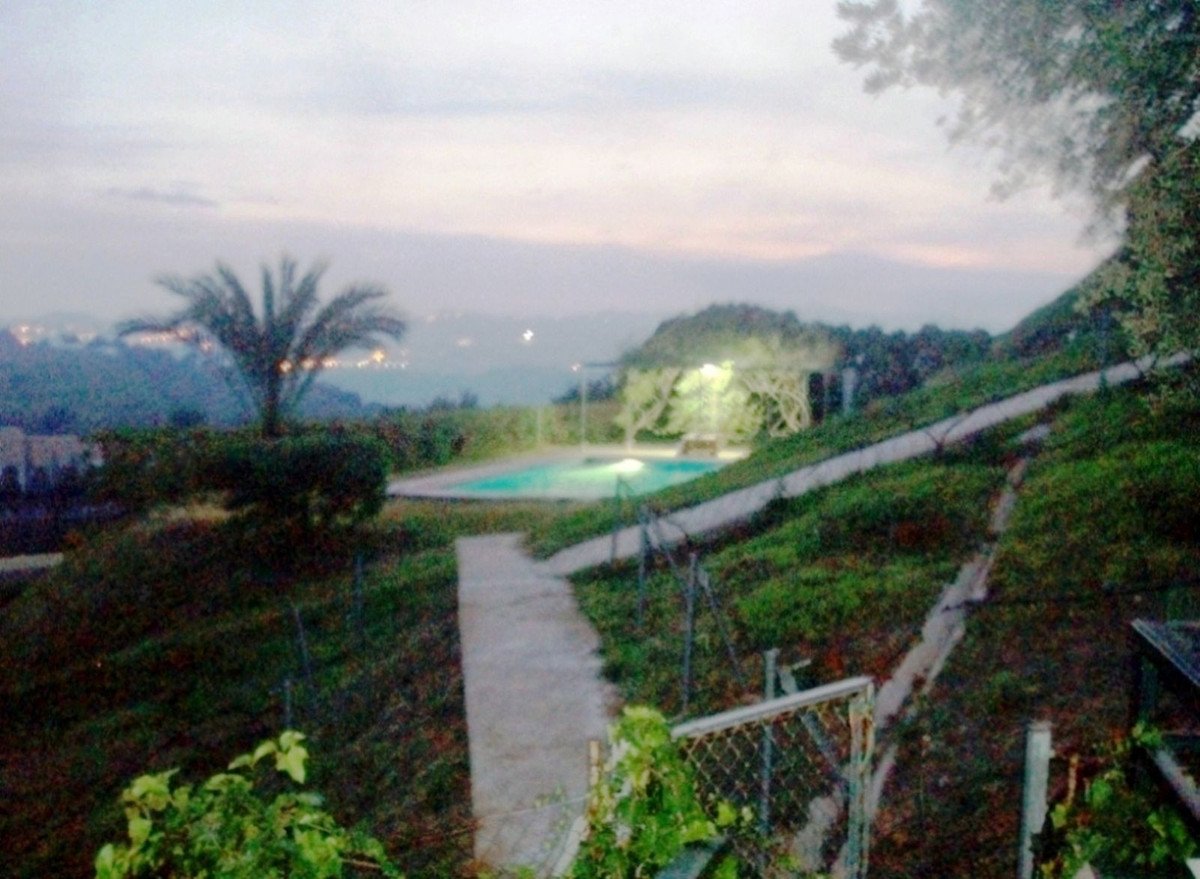 04 photo