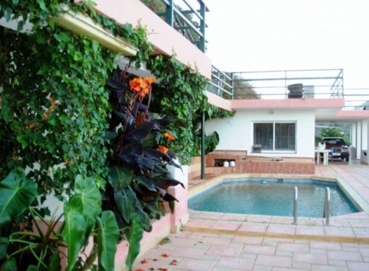 A swimming pool surrounded by a tiled patio and lush green plants, with a building and car in the background.