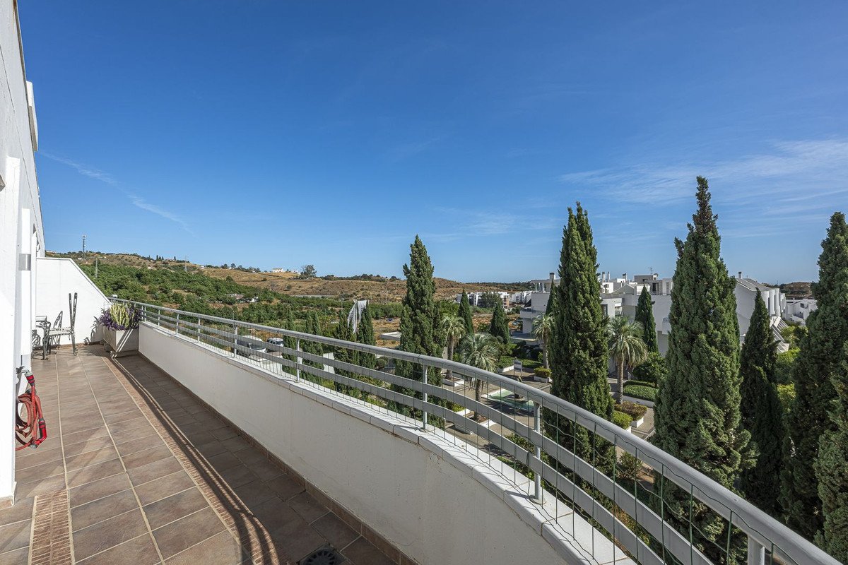 25 photo
