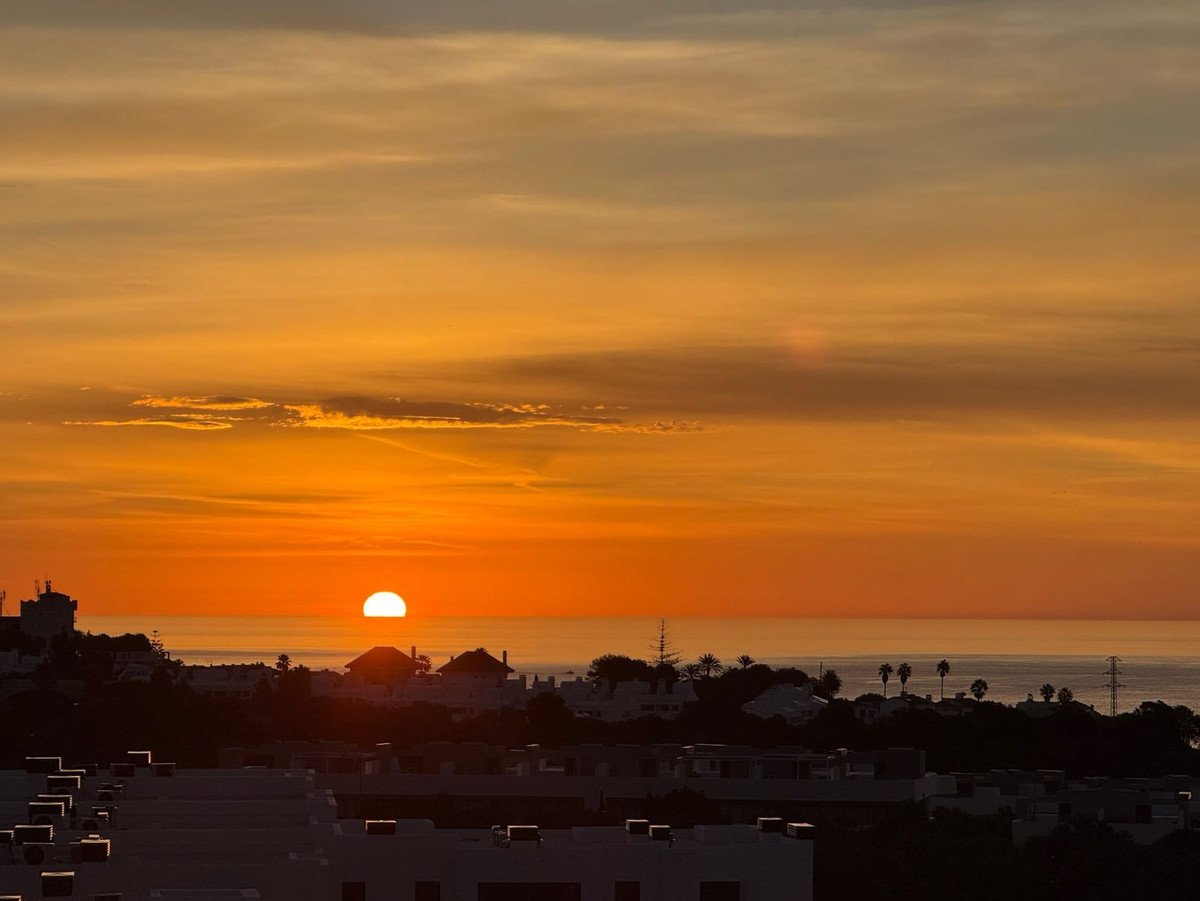 Rooftop sunset view over the sea with buildings and palm trees