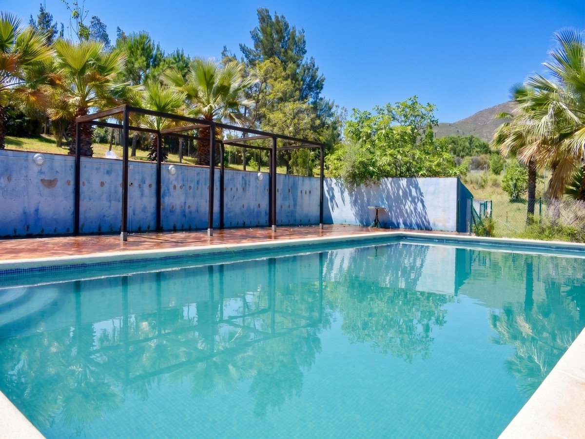 A bright blue swimming pool with palm trees and lush greenery surrounding it under a clear blue sky.