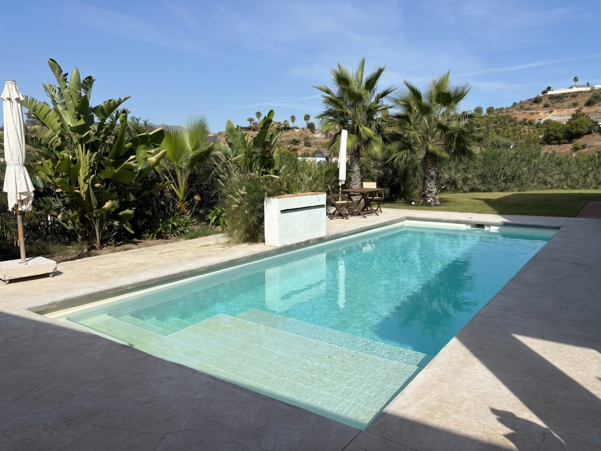 A backyard swimming pool surrounded by palm trees and lush greenery.