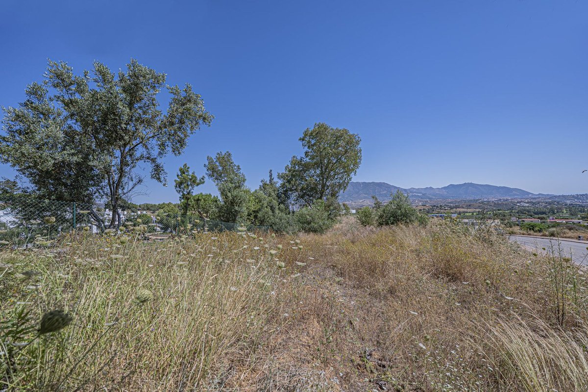 06 photo