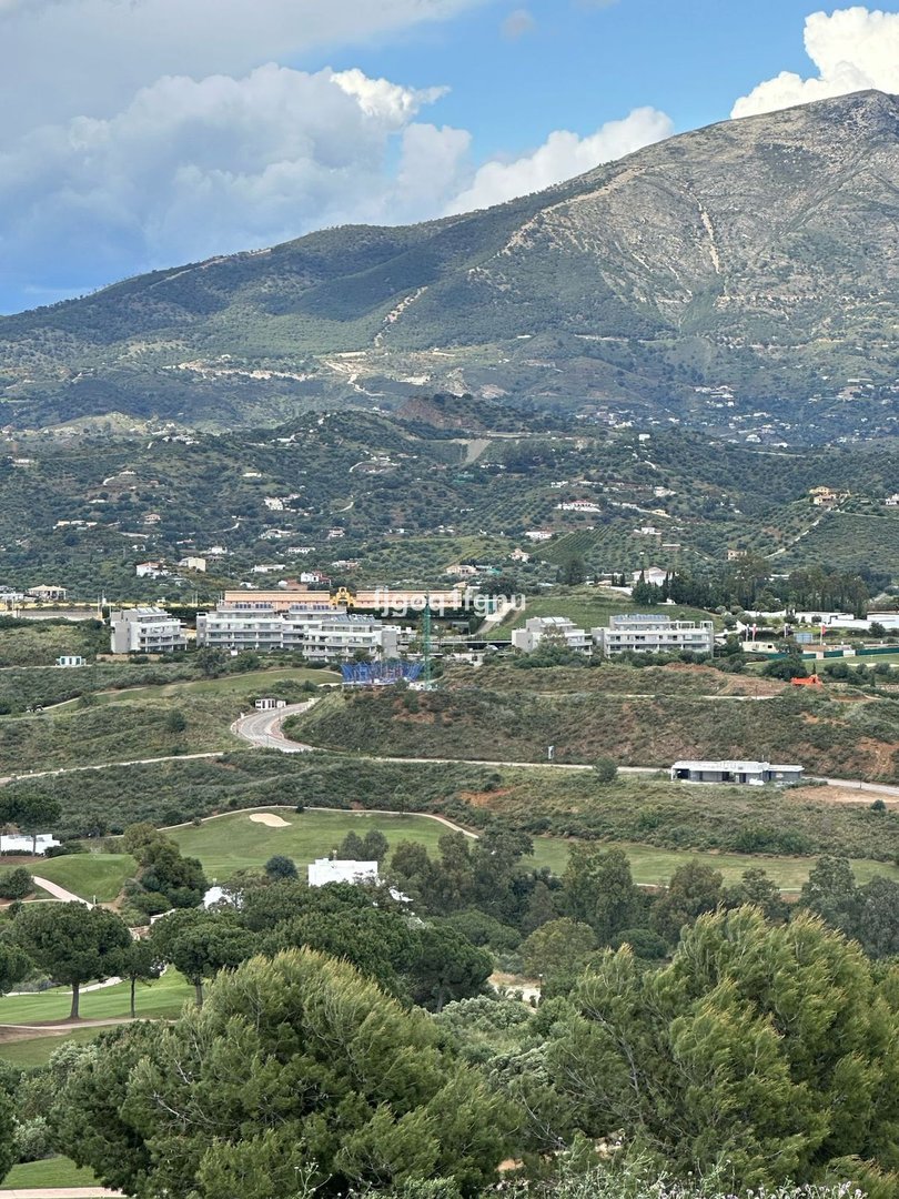 03 photo