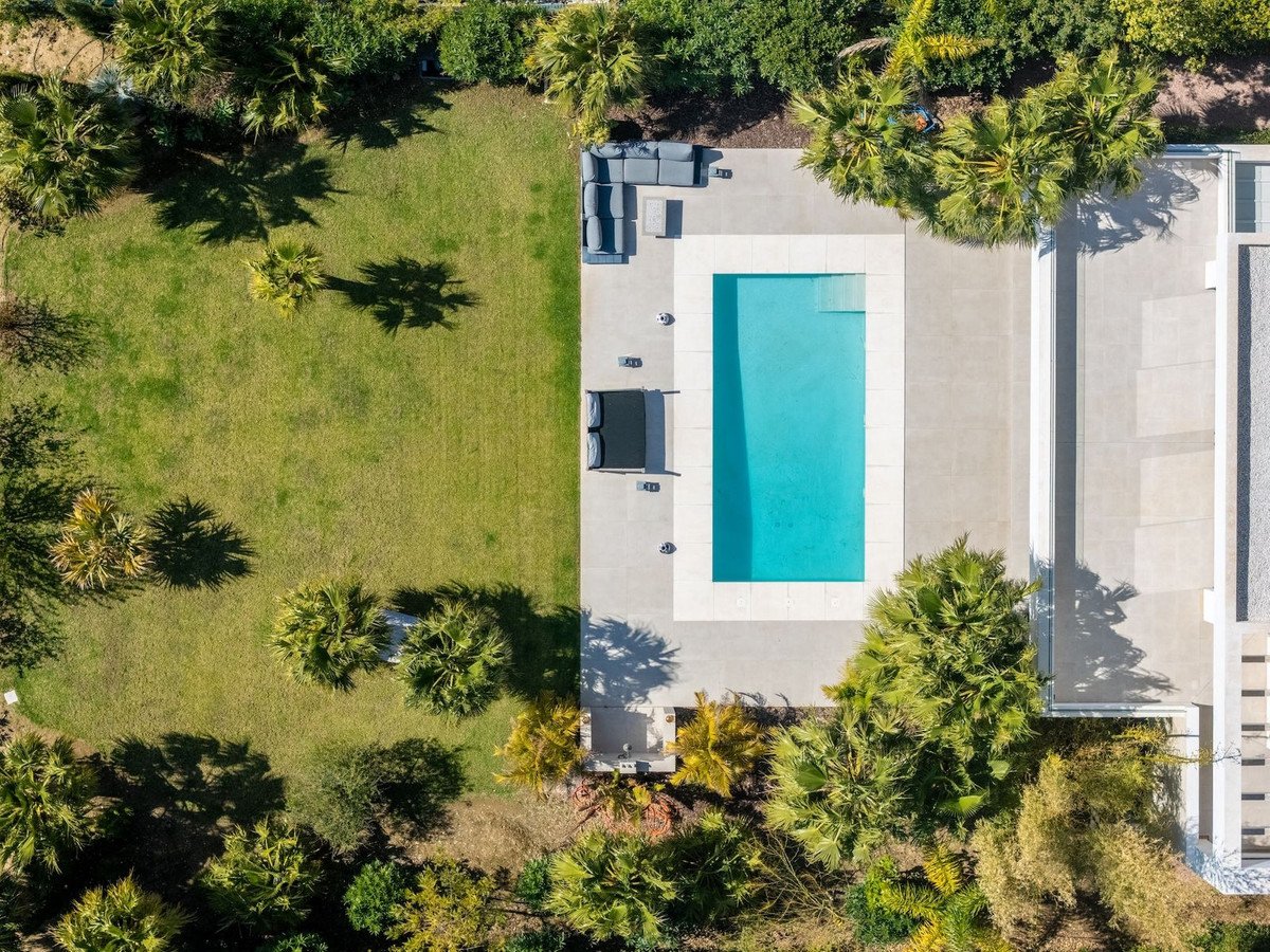 Aerial view of a rectangular swimming pool with lounge chairs and a lush green garden with palm trees.