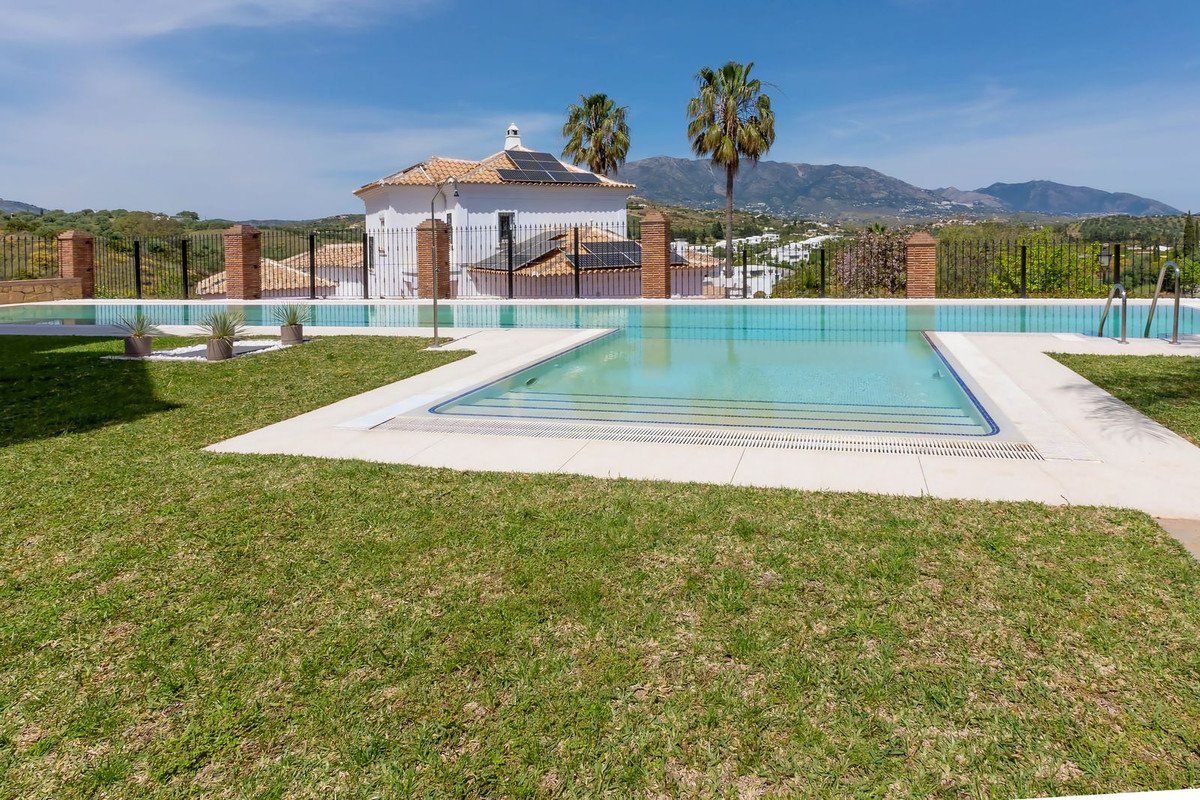 07 photo