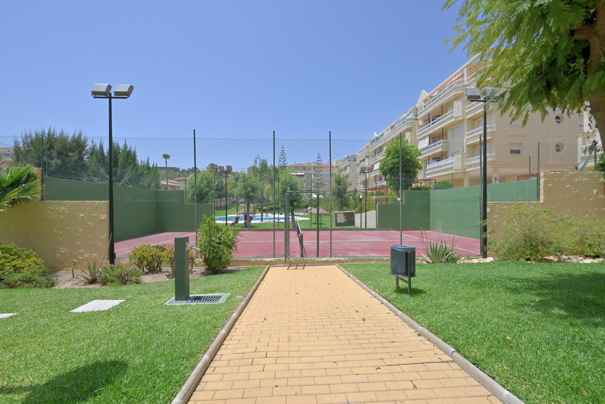 04 photo