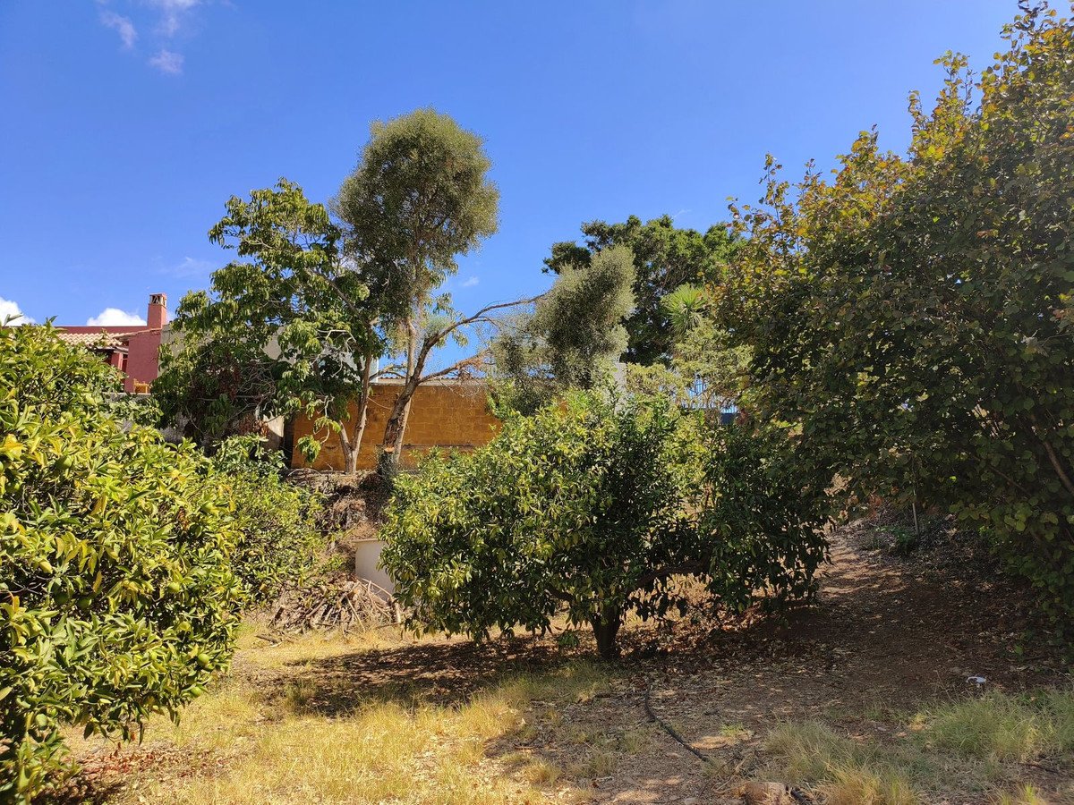 A lush garden with mature trees and a house visible in the background, under a clear blue sky.