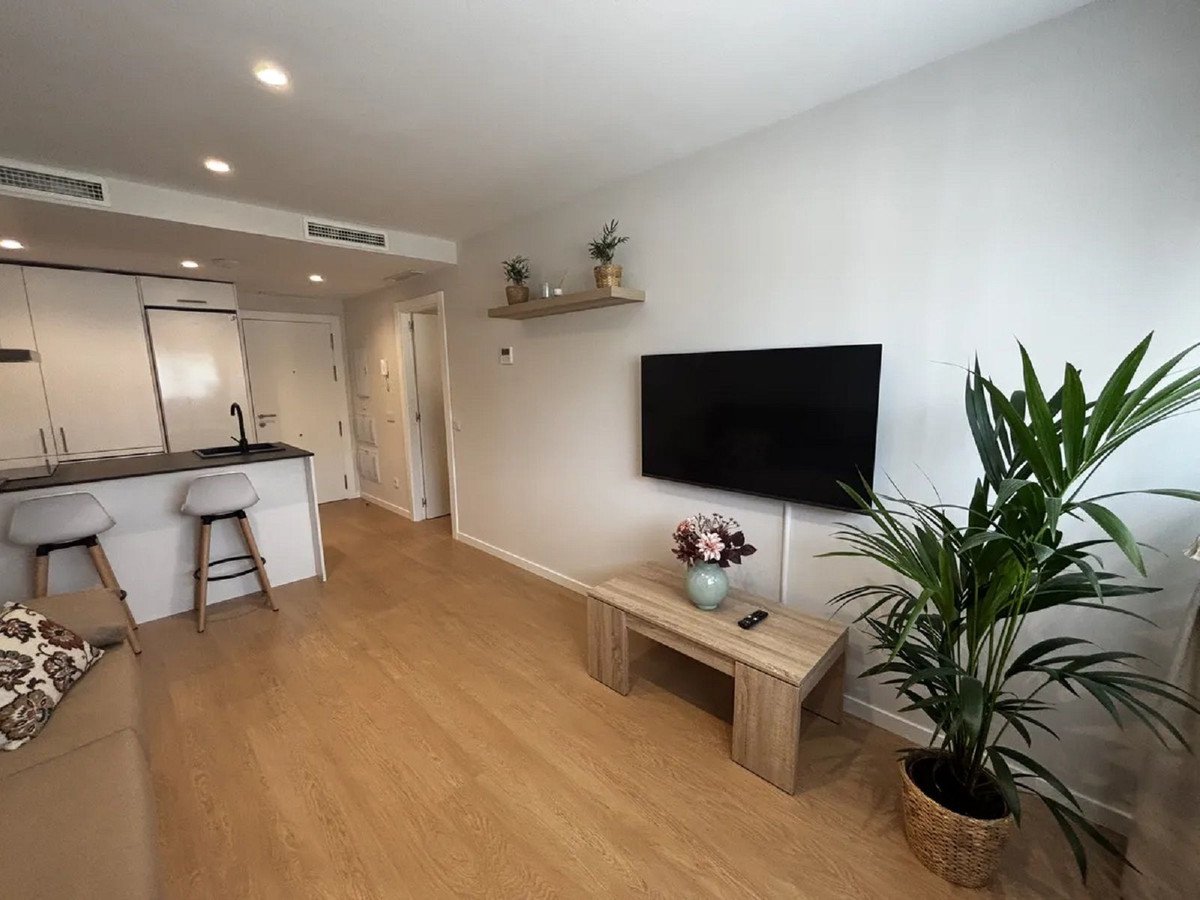 Modern living room with kitchenette, a flat screen TV mounted on the wall, and a large potted plant.