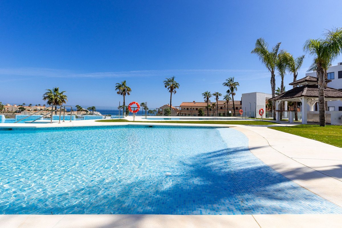 A clear blue swimming pool with palm trees and buildings in the background, overlooking the sea under a bright blue sky.