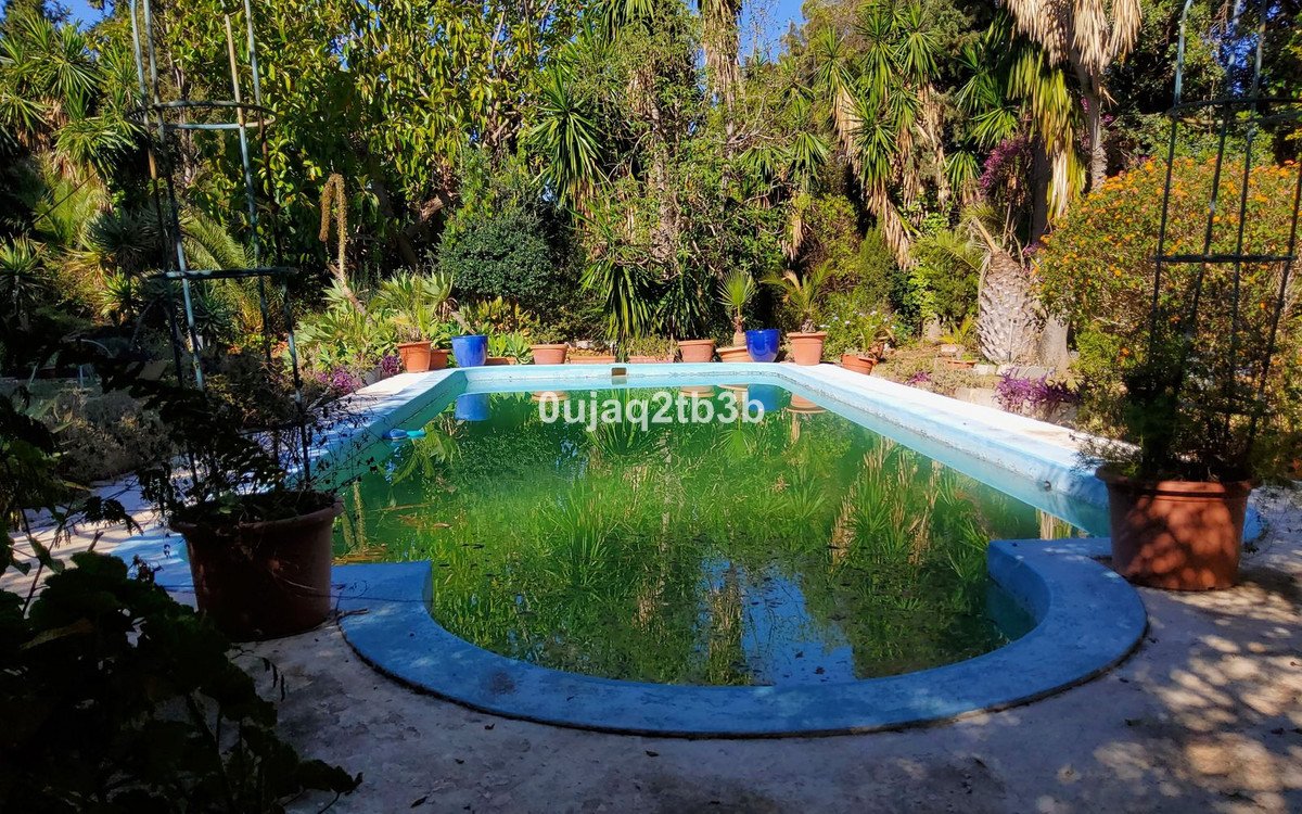 22 photo