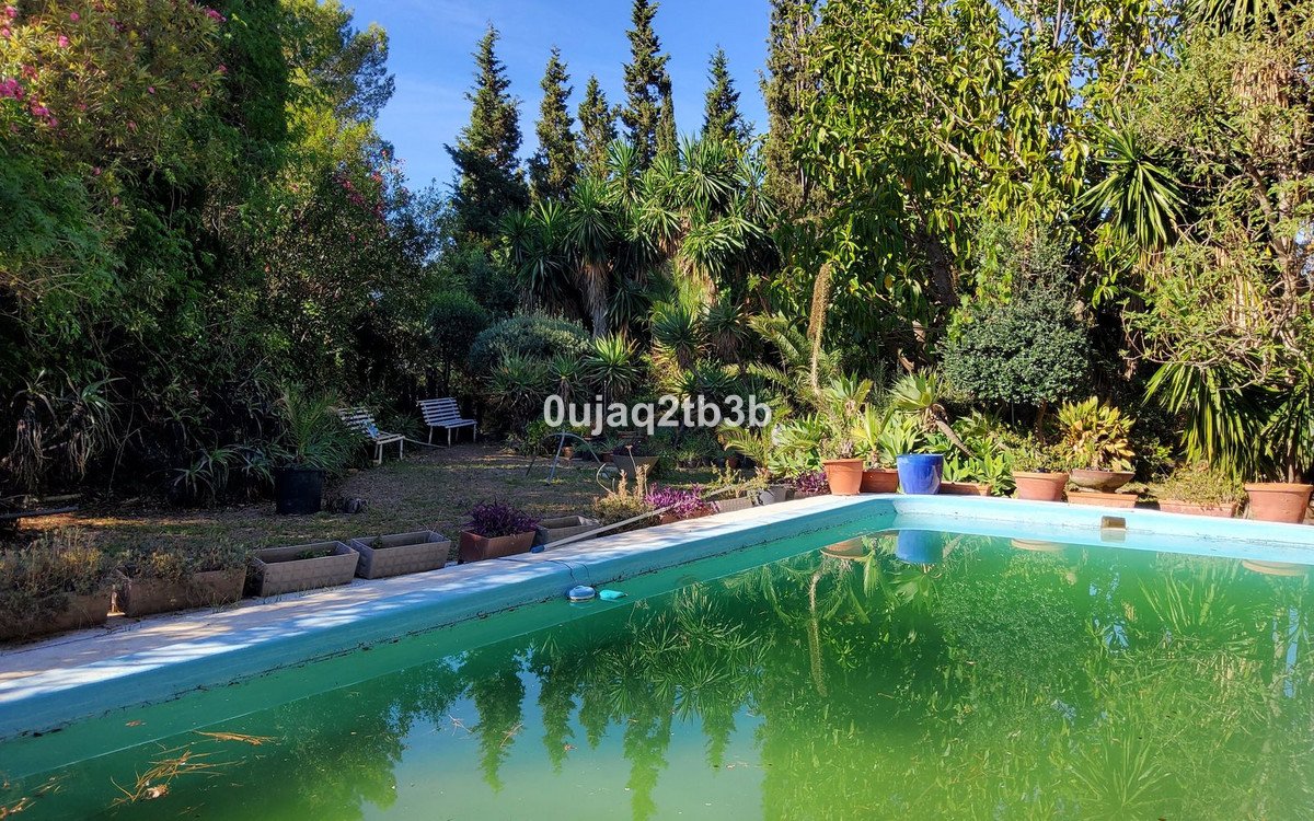 23 photo