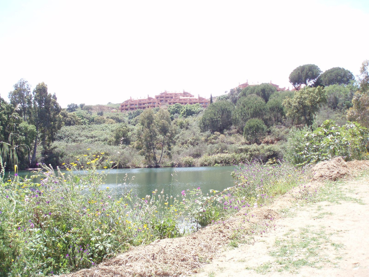 08 photo