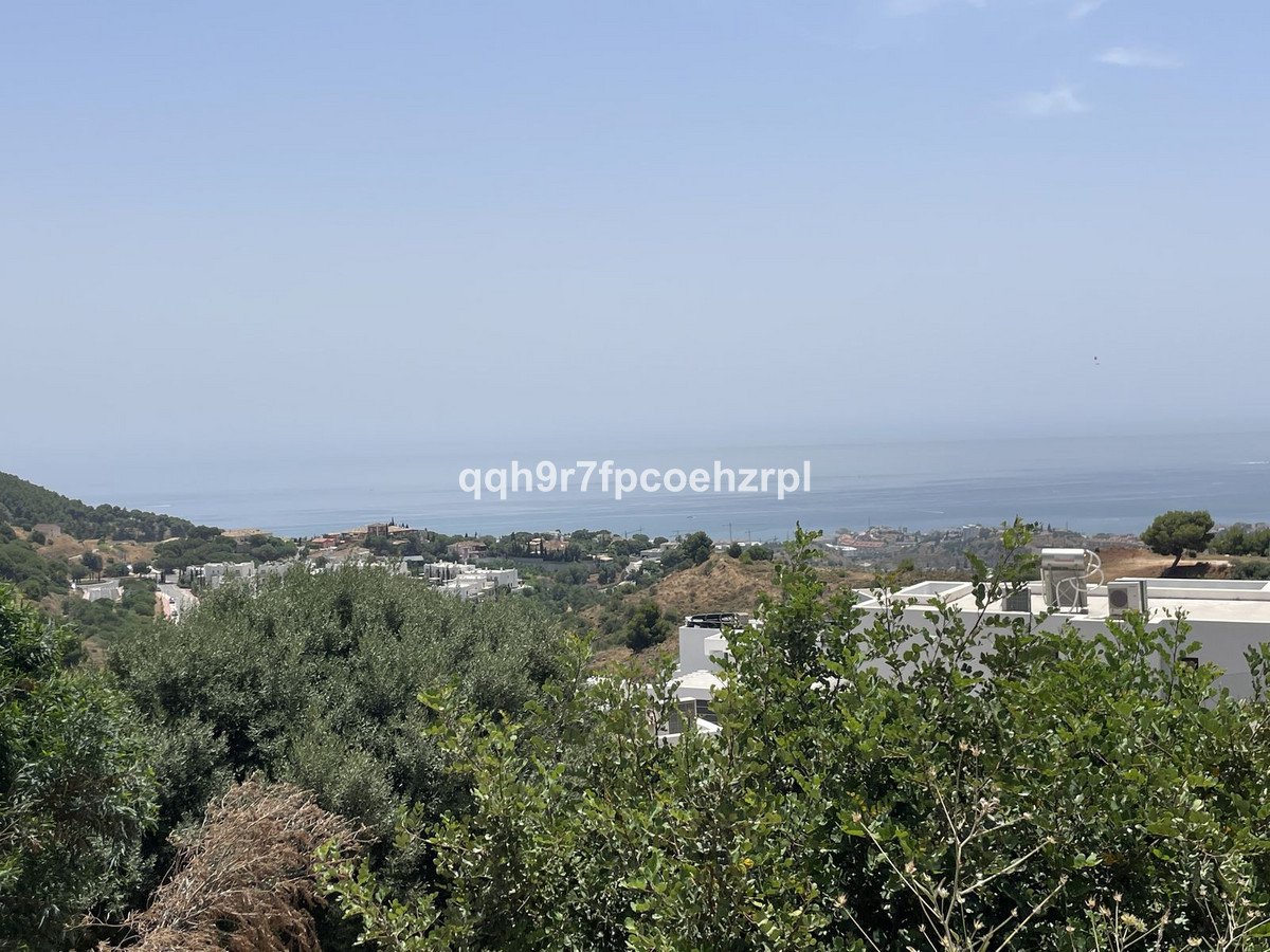 05 photo