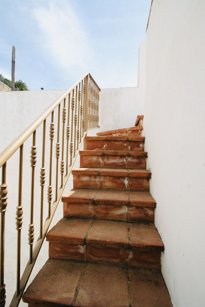 11 photo
