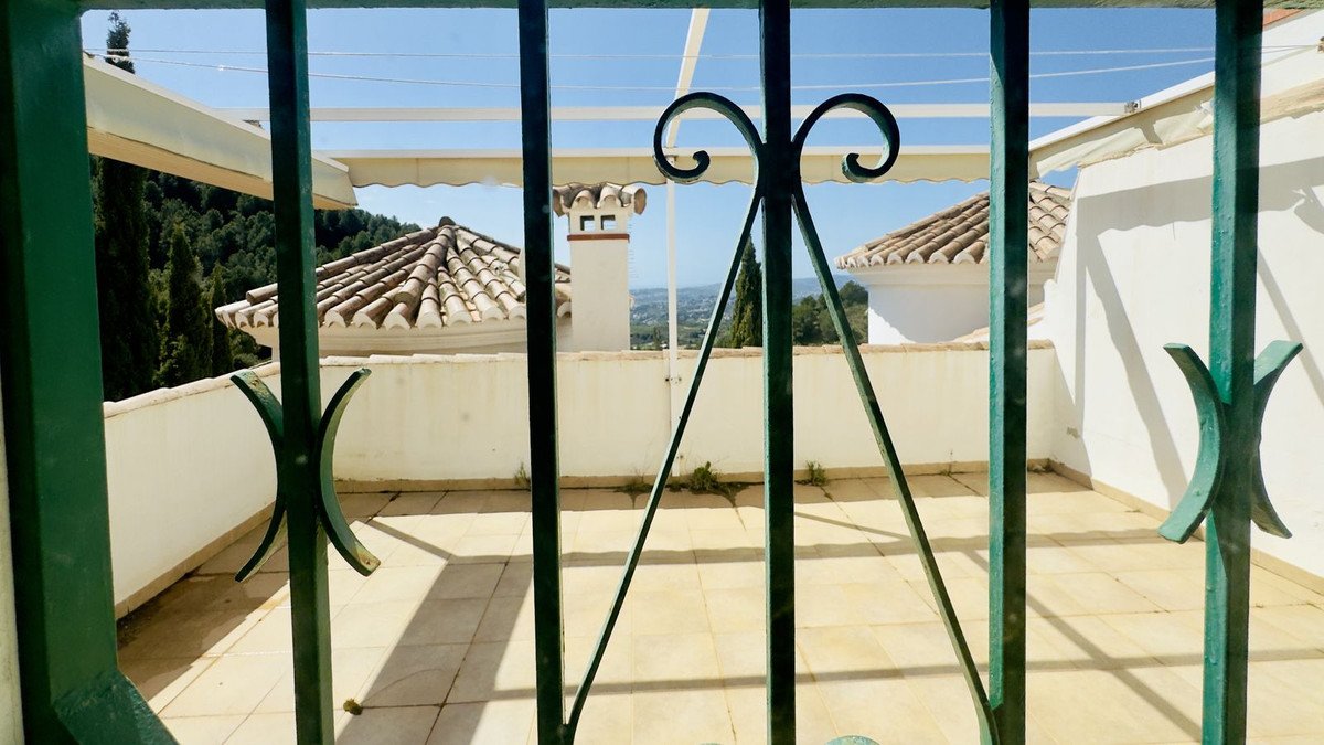 43 photo