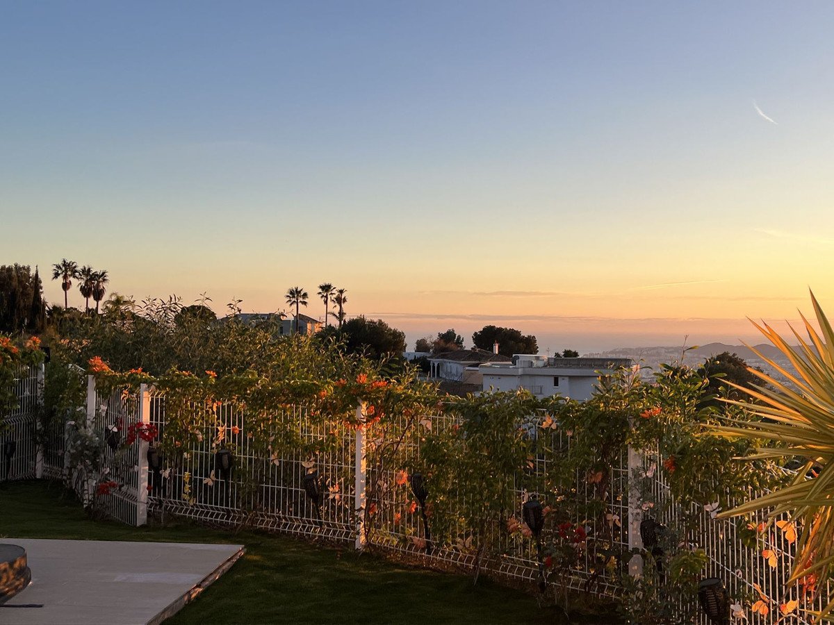 A tranquil sunset view over the sea, with palm trees and blooming vines visible in the foreground garden.
