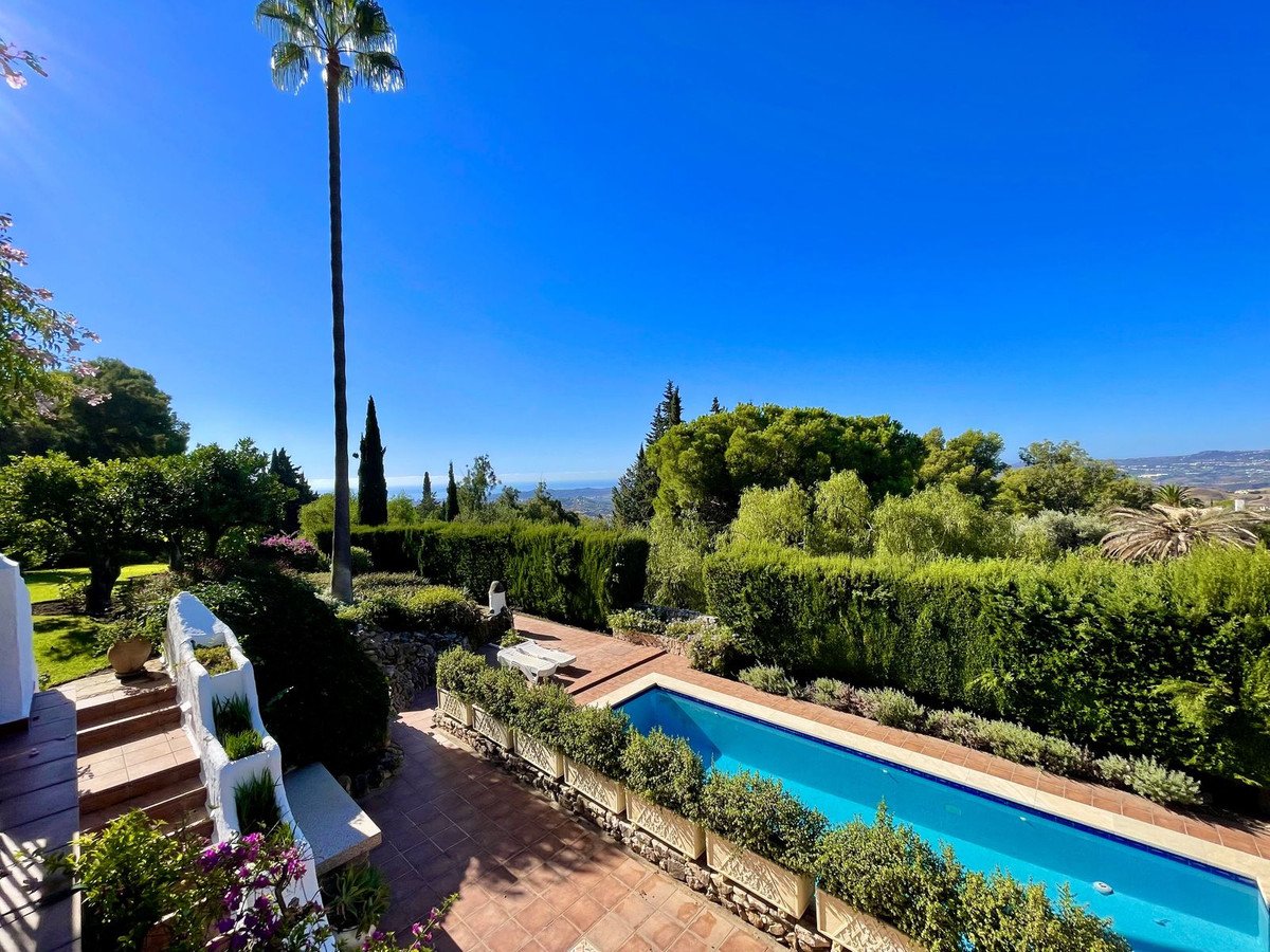 A swimming pool and lush garden with a tall palm tree, offering a view of distant hills under a clear blue sky.