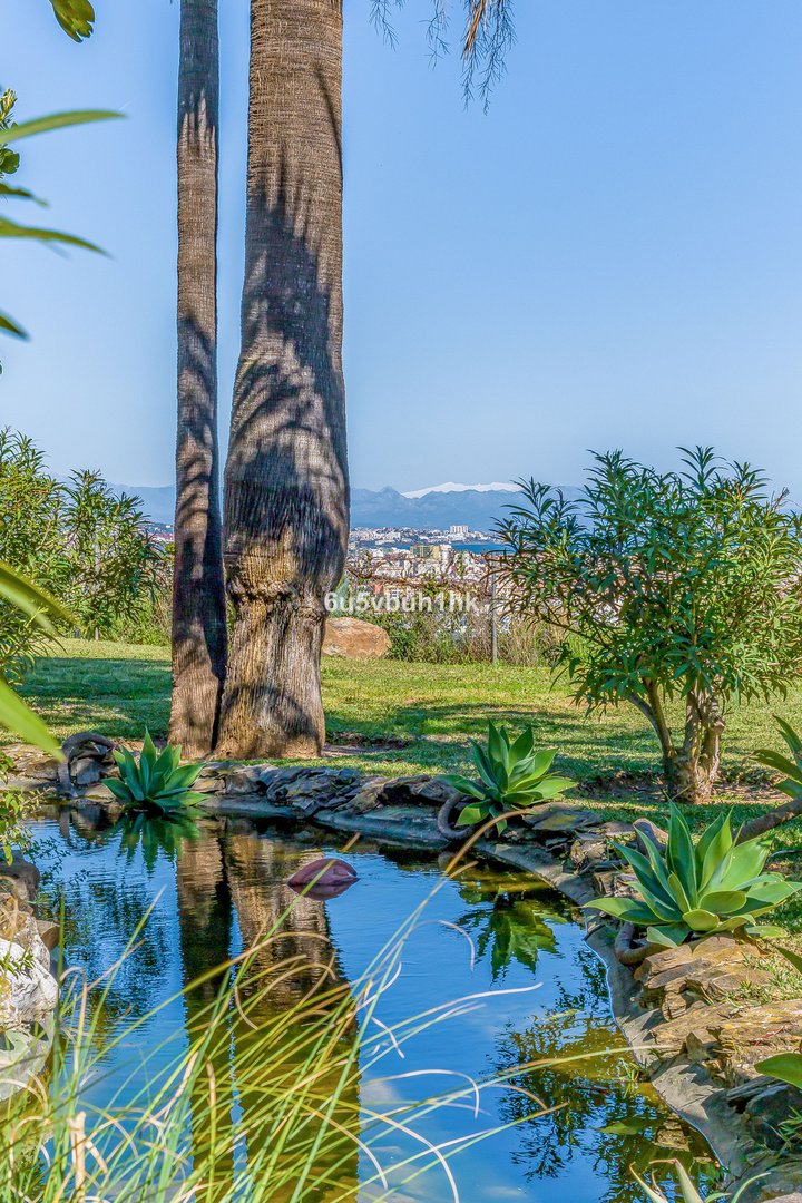 35 photo