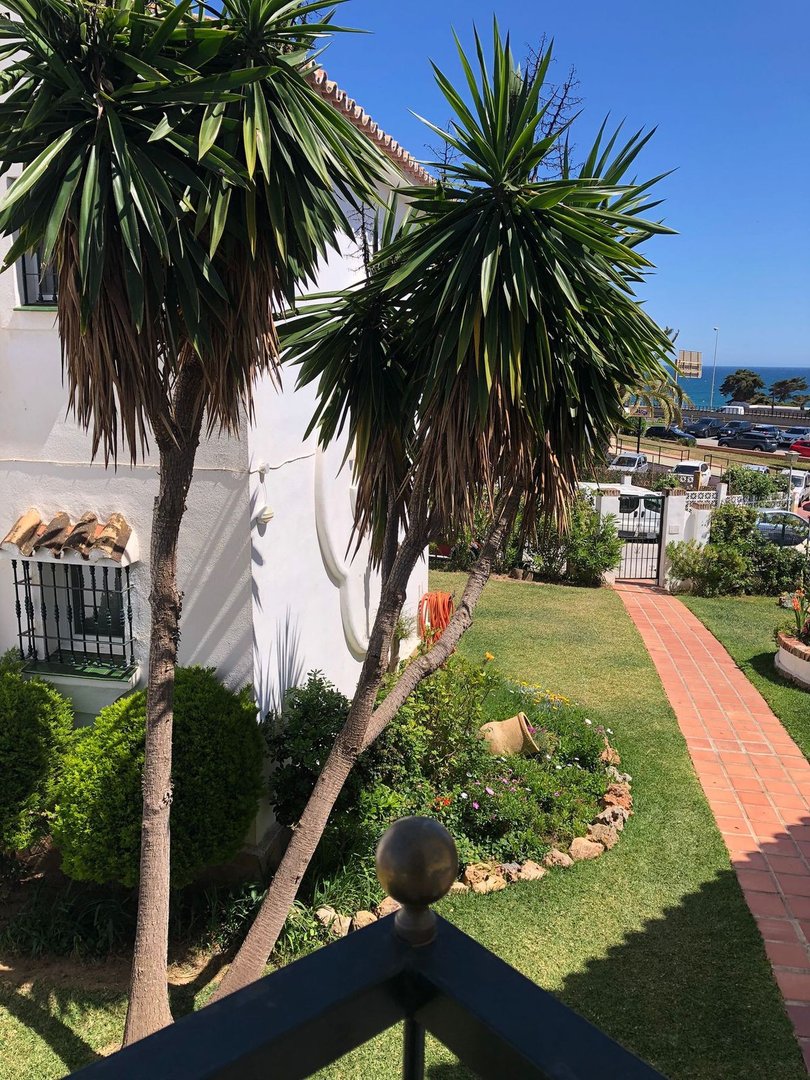 A paved garden path leads through green grass and palm trees towards the sea, with a white building in the background.