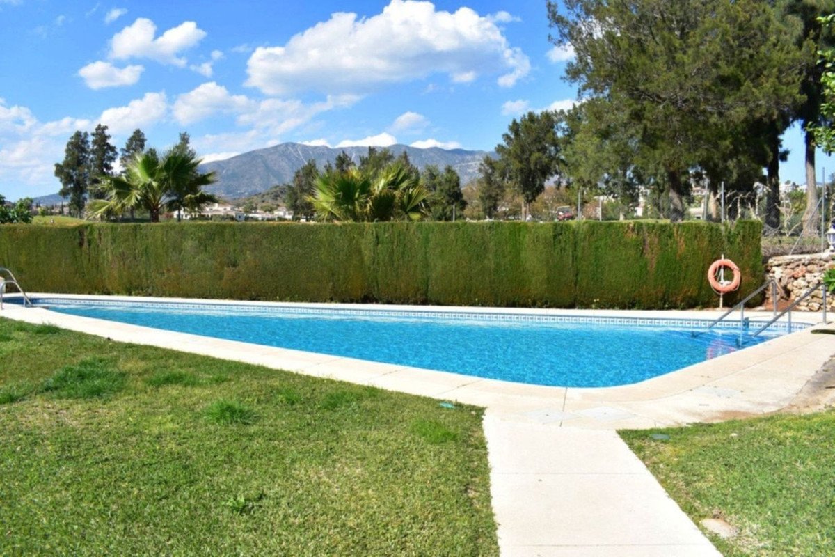 A swimming pool with blue water surrounded by green grass and a hedge, with mountains visible in the distance under a cloudy sky.