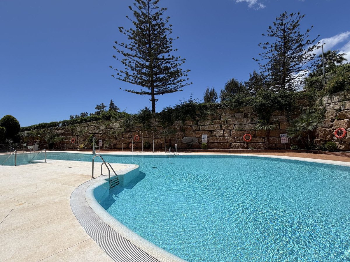 Outdoor pool with clear blue water, surrounded by stone wall and tall trees under a sunny sky.