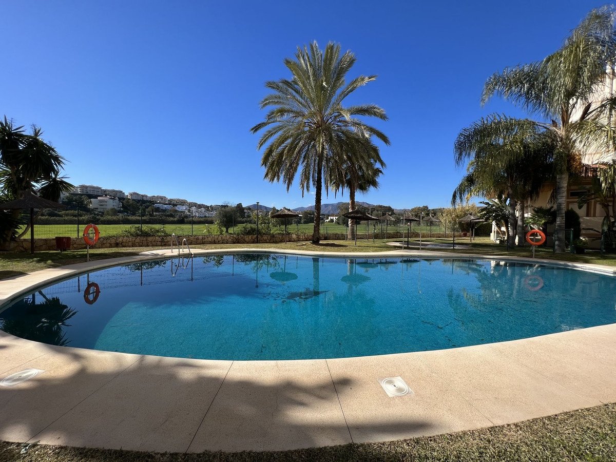 A bright sunny day with a large swimming pool surrounded by palm trees and lush green grass.