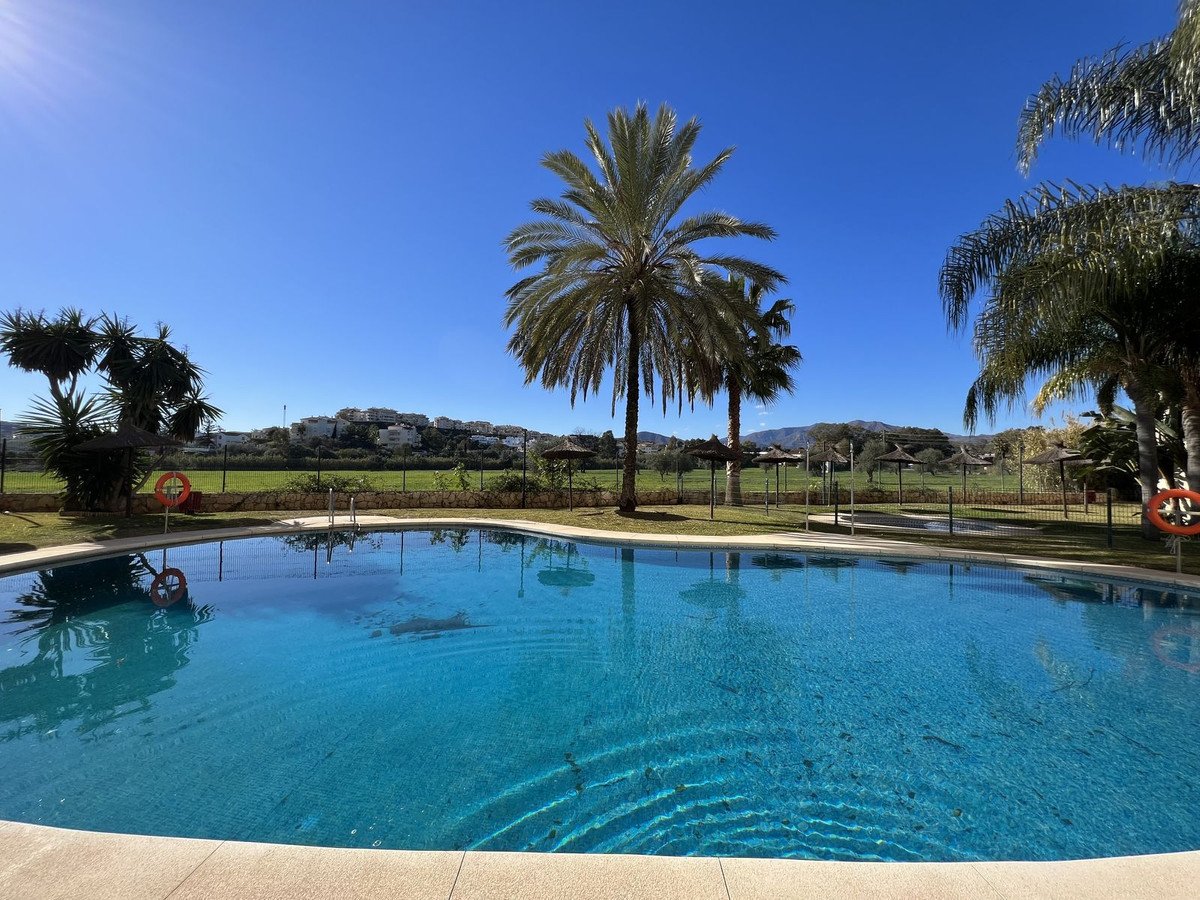 Outdoor swimming pool with palm trees and a distant view of white buildings on a hill under a clear blue sky.