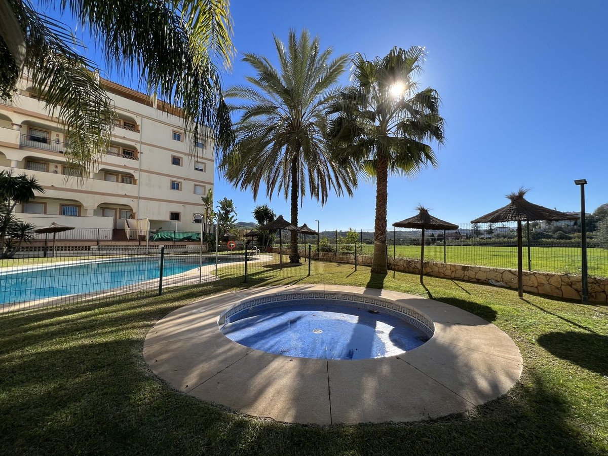 Sunny courtyard with a swimming pool, a jacuzzi, palm trees, and thatched umbrellas next to a residential building.