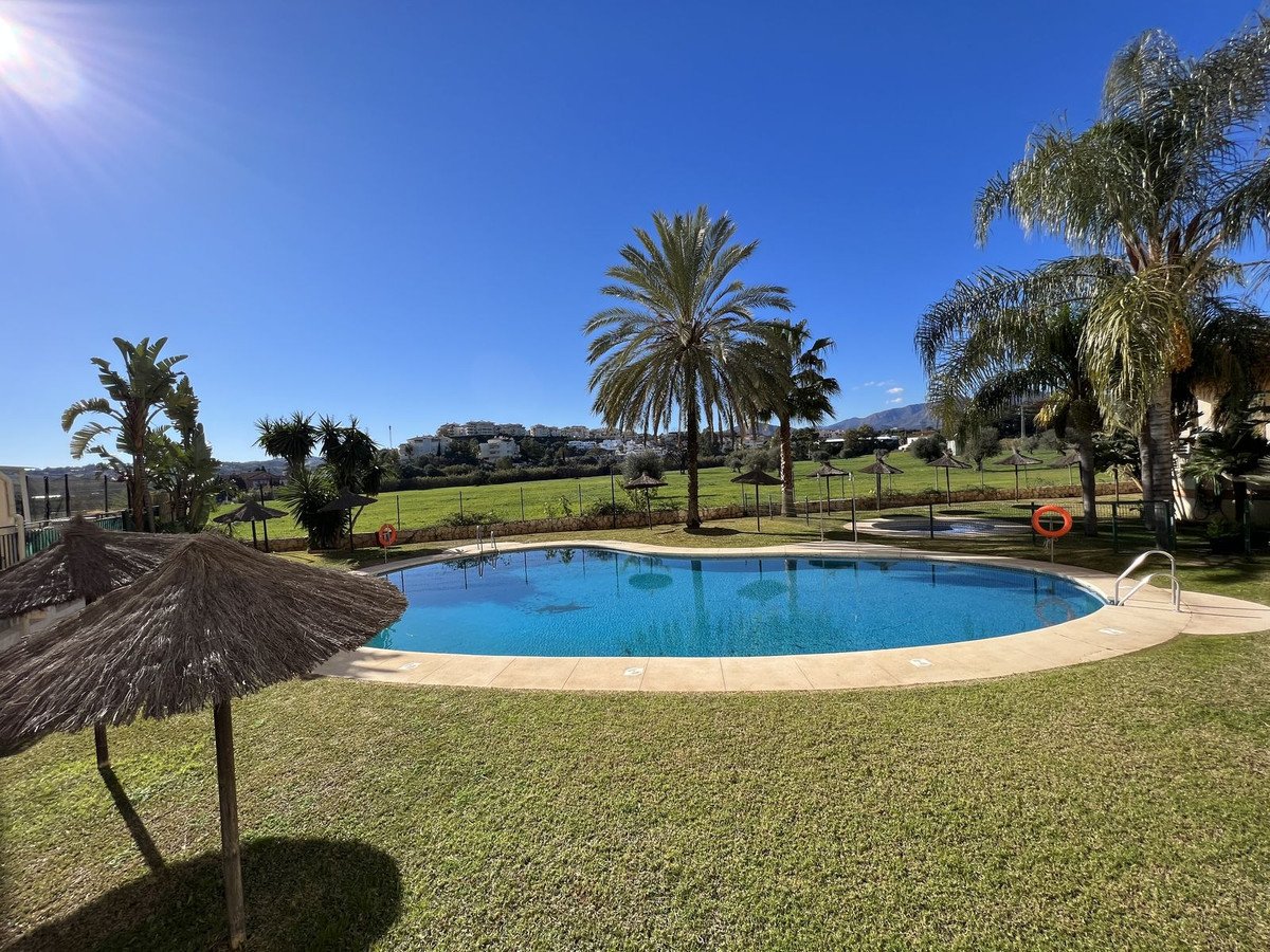 A bright sunny day with a large swimming pool surrounded by lush green lawn, palm trees, and thatched umbrellas. Distant hills are visible.