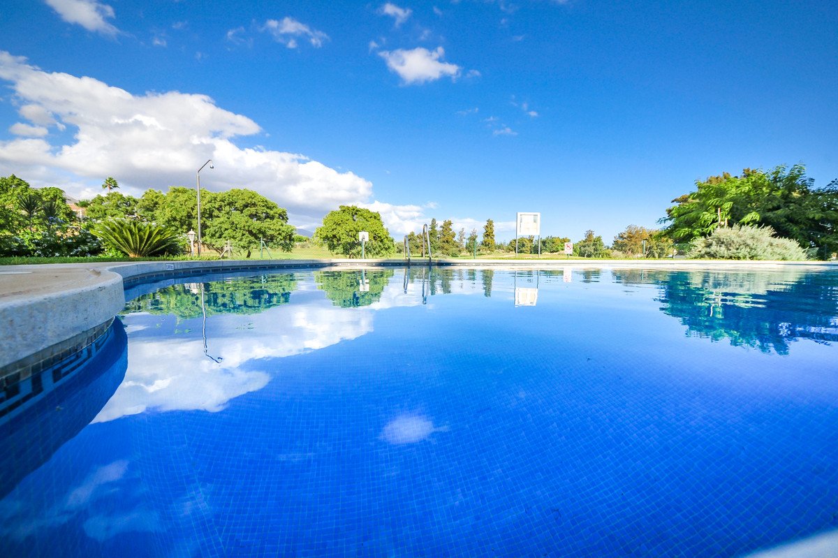 A vibrant blue swimming pool with reflections of the sky and clouds, surrounded by lush green trees and vegetation.