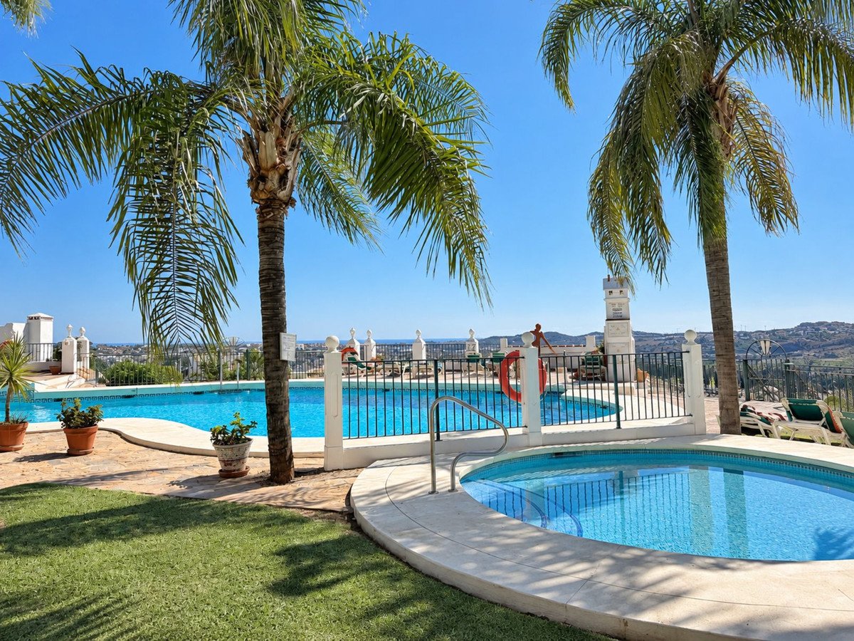 Outdoor swimming pool with palm trees and a scenic view