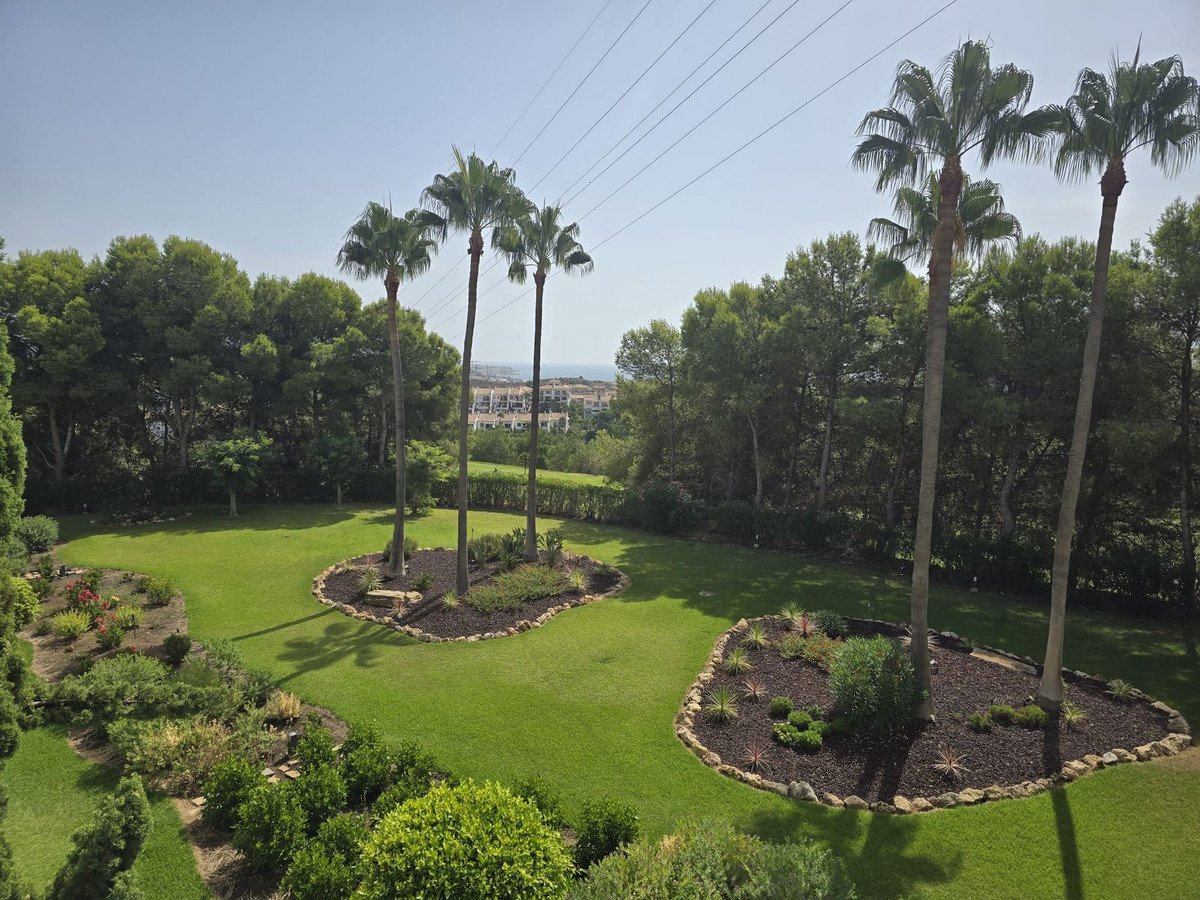 2 Bed Top Floor Apartment in Miraflores in Miraflores, Apartment