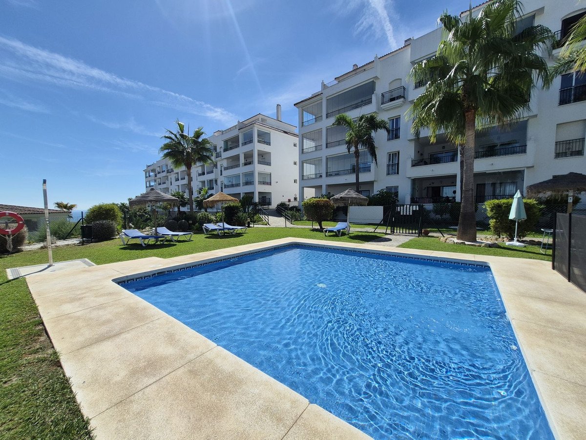 Communal swimming pool with lounge chairs and palm trees in front of apartment buildings under a clear blue sky.