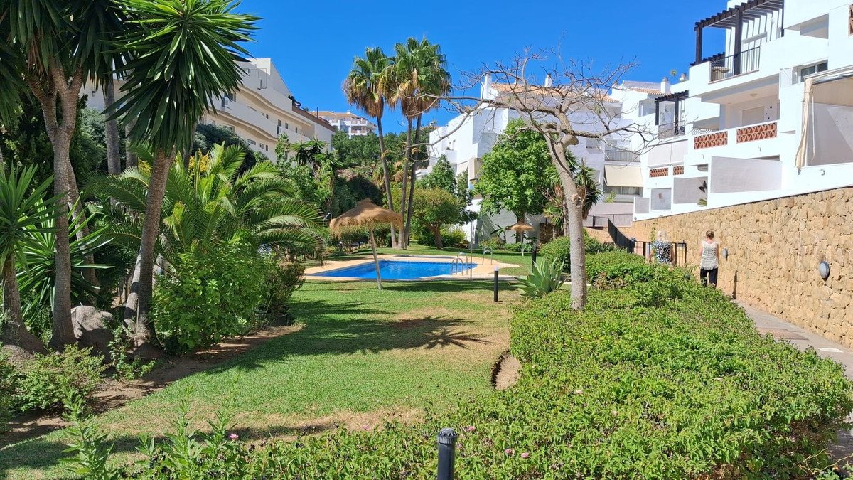 Lush tropical gardens with a sparkling blue swimming pool and white apartment buildings under a clear blue sky.
