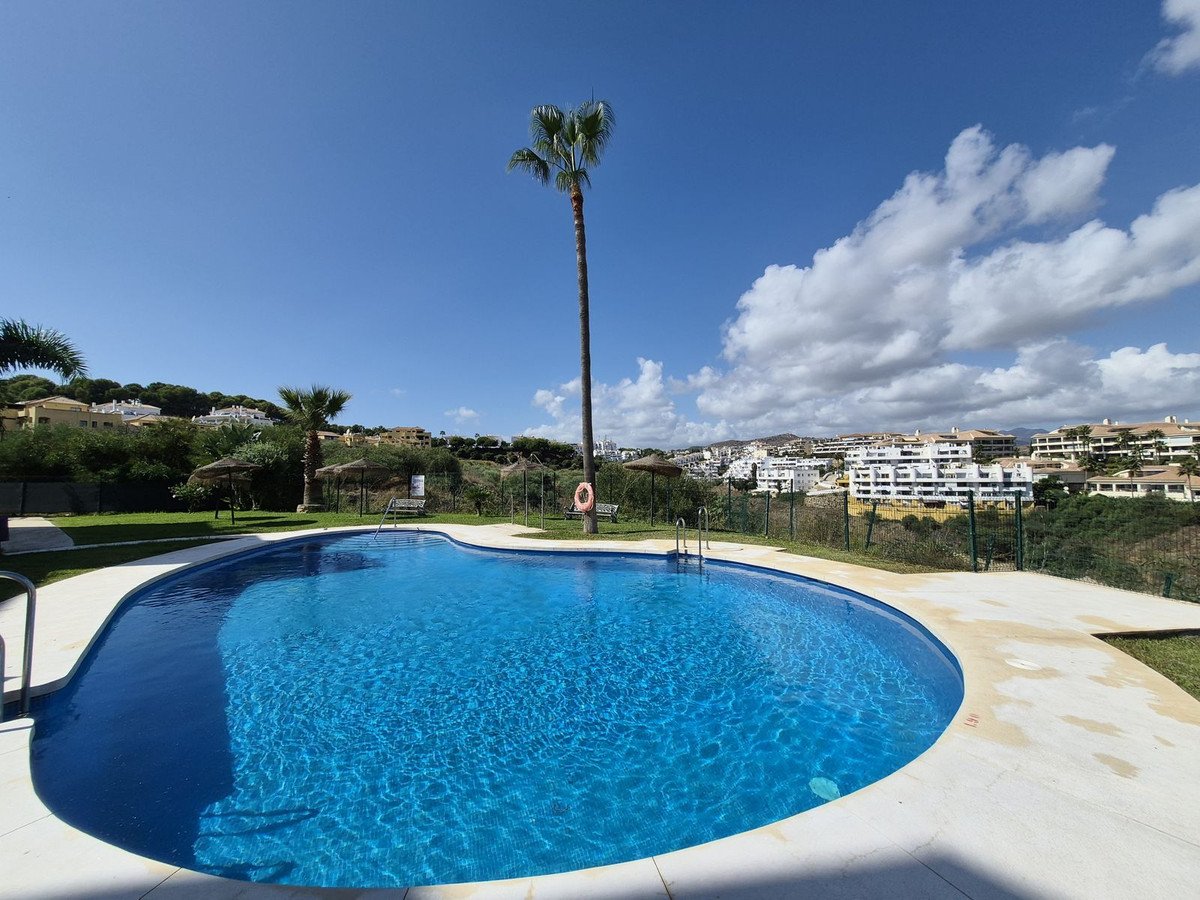 Outdoor swimming pool with palm trees and a view of nearby buildings