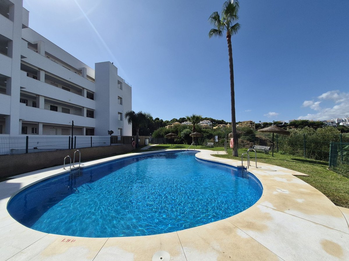 Outdoor swimming pool at an apartment complex with palm trees and clear blue sky