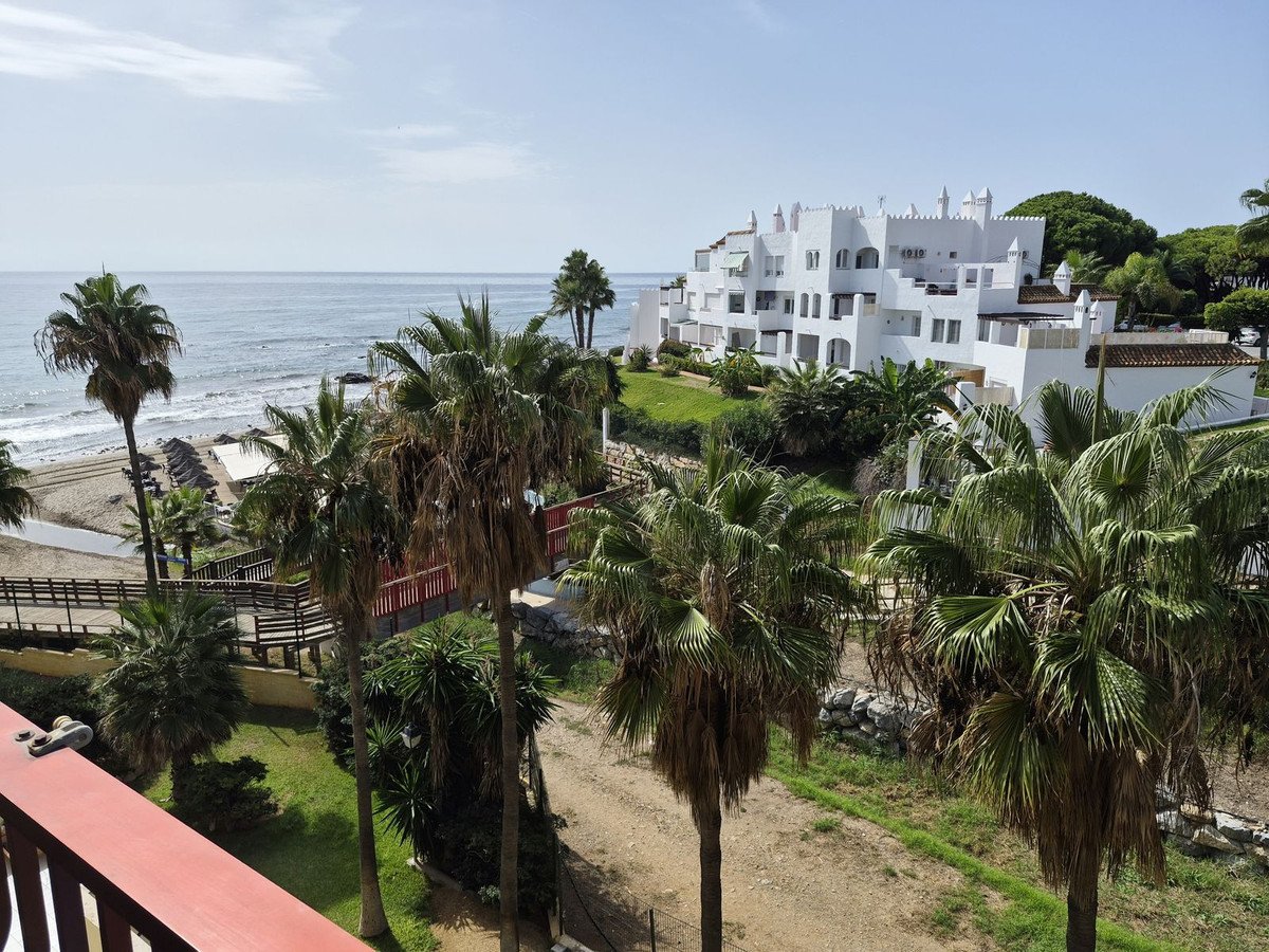 Beachfront apartment with palm trees and ocean view