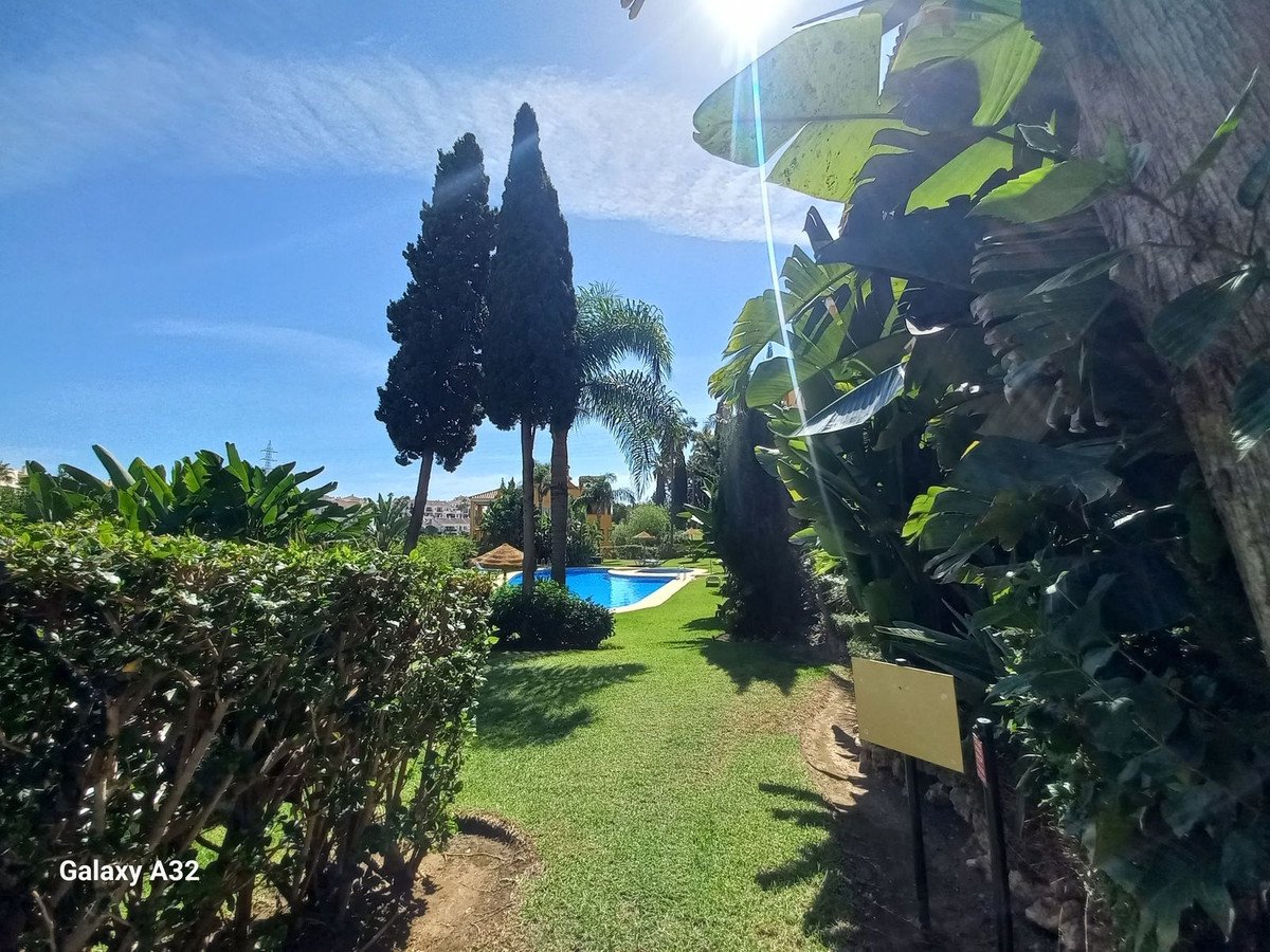 A sunny view of a blue swimming pool surrounded by lush green grass and palm trees.