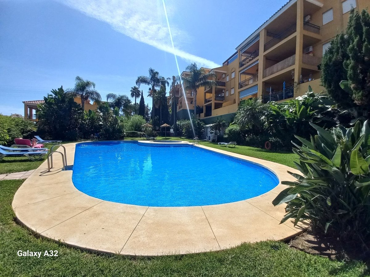 A bright blue swimming pool with a paved edge surrounded by green grass and lush tropical plants. Apartment buildings are visible in the background under a clear blue sky.