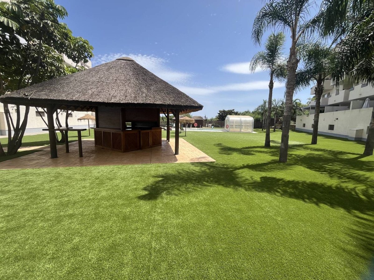 Outdoor bar with a thatched roof, surrounded by green lawn, palm trees, and a swimming pool in the background.