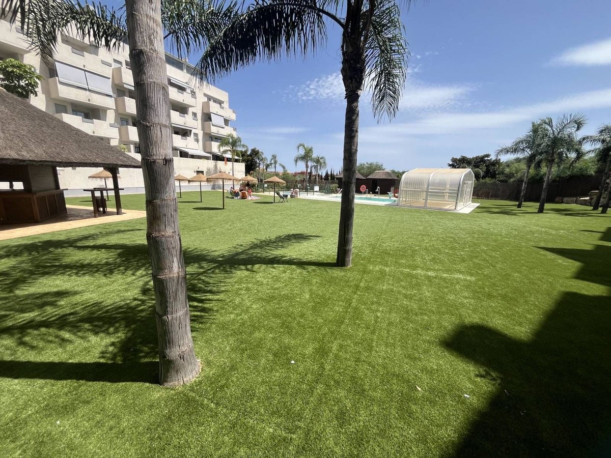 A resort outdoor area with artificial grass, sun loungers, a thatched bar area, and a covered swimming pool.