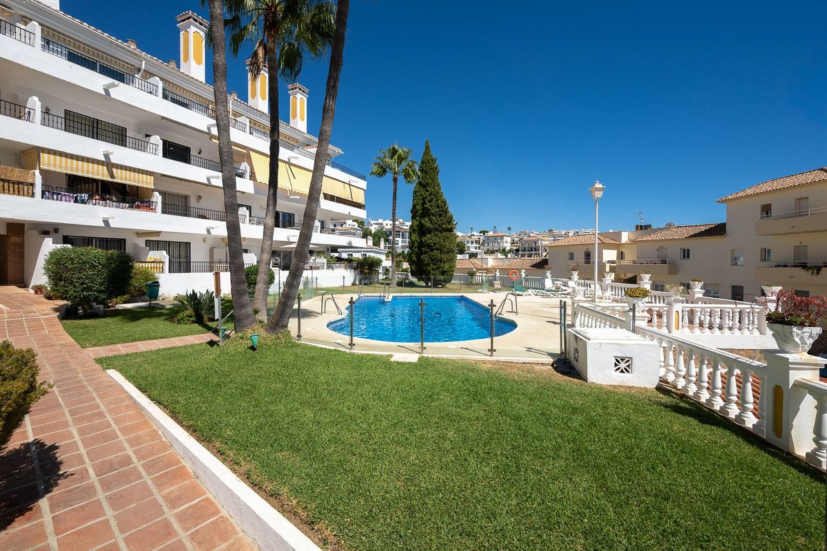 Apartment buildings surrounding a bright blue communal swimming pool with lush green lawns and palm trees under a clear blue sky.