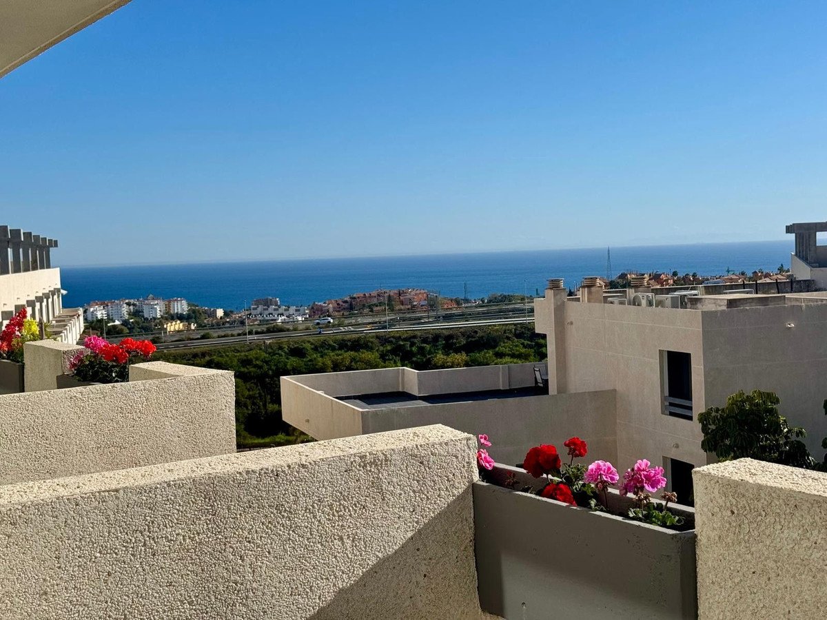 Balcony view overlooking the sea with colorful flowers in planters and buildings in the distance.