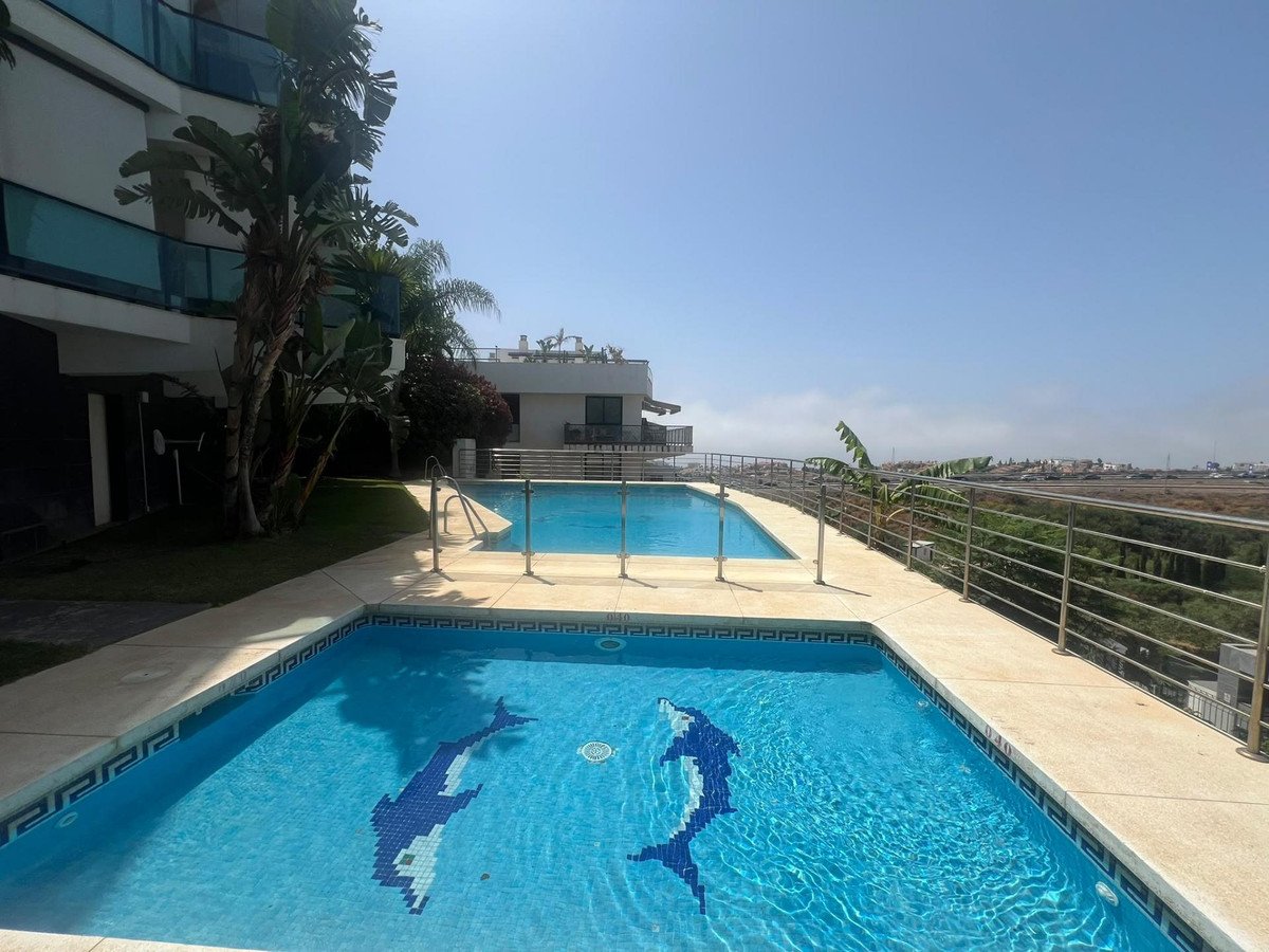 Two swimming pools with dolphin mosaics, surrounded by a patio and a modern building, under a clear blue sky.